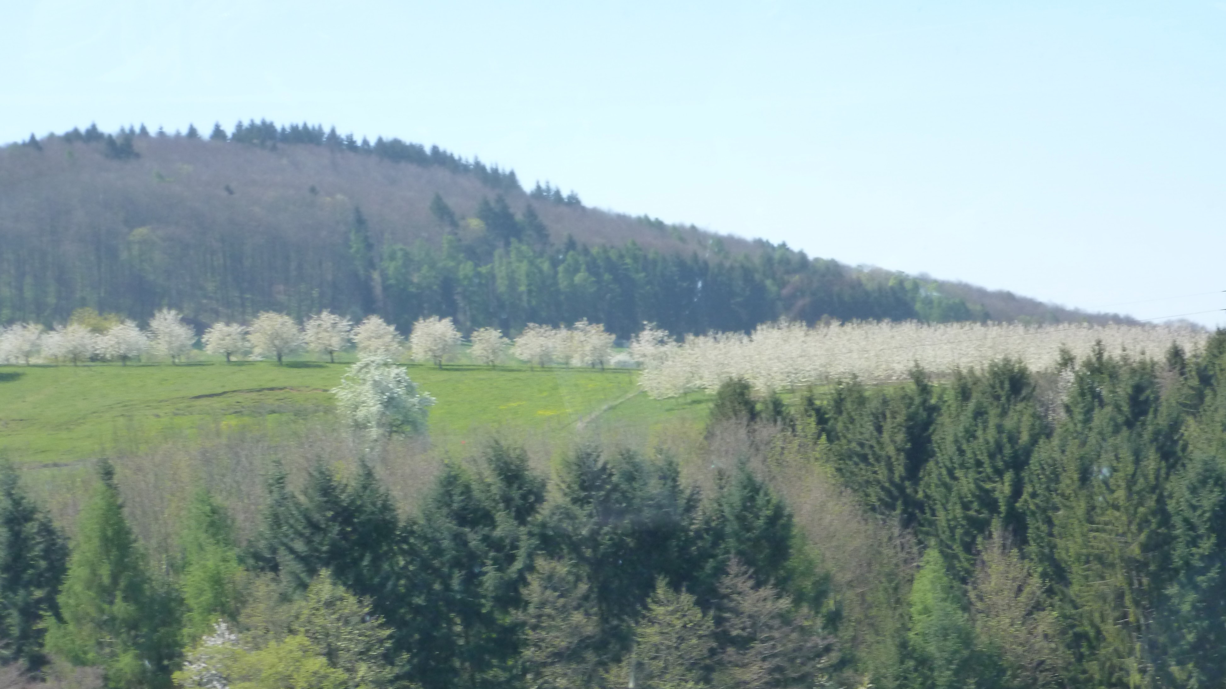 2017 Kirschblten Fahrt 2