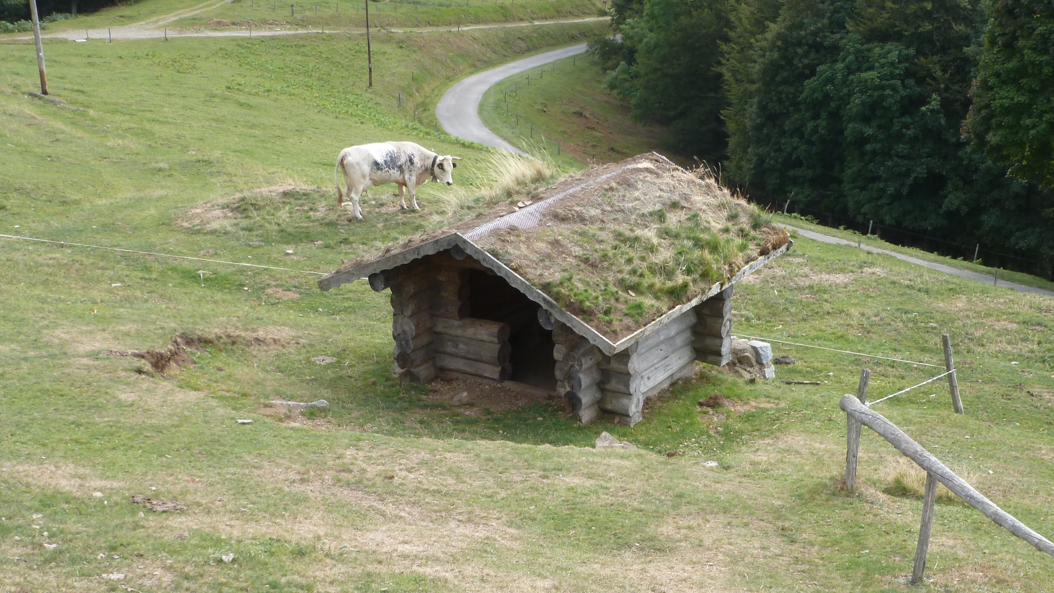 2019 Ferme Schaffert 2