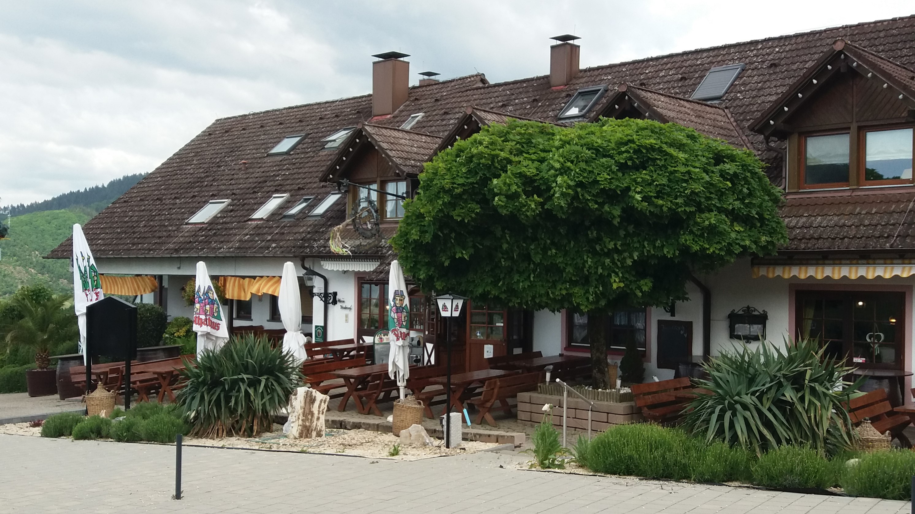 2023 Schleifsteinhof