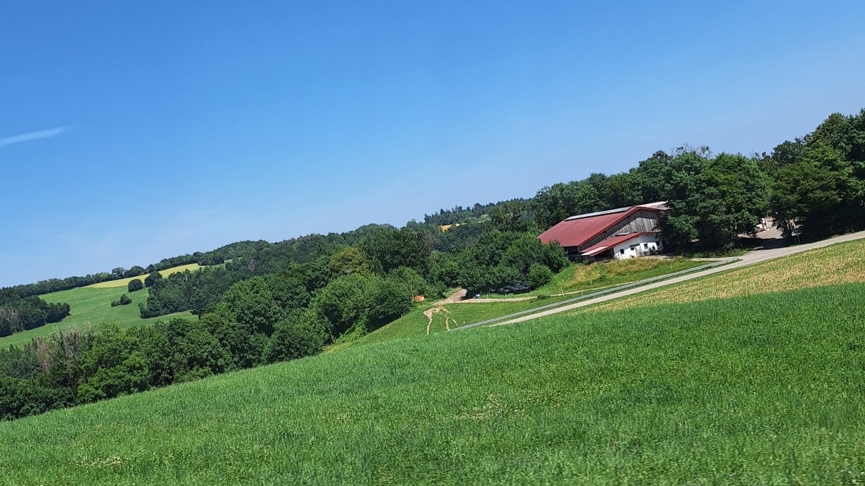 20250618 143926 resized 1