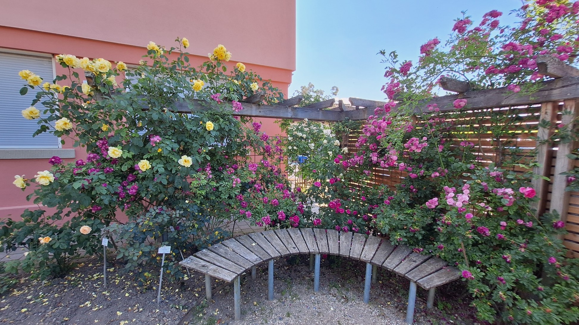 20250618 162408 resized 1