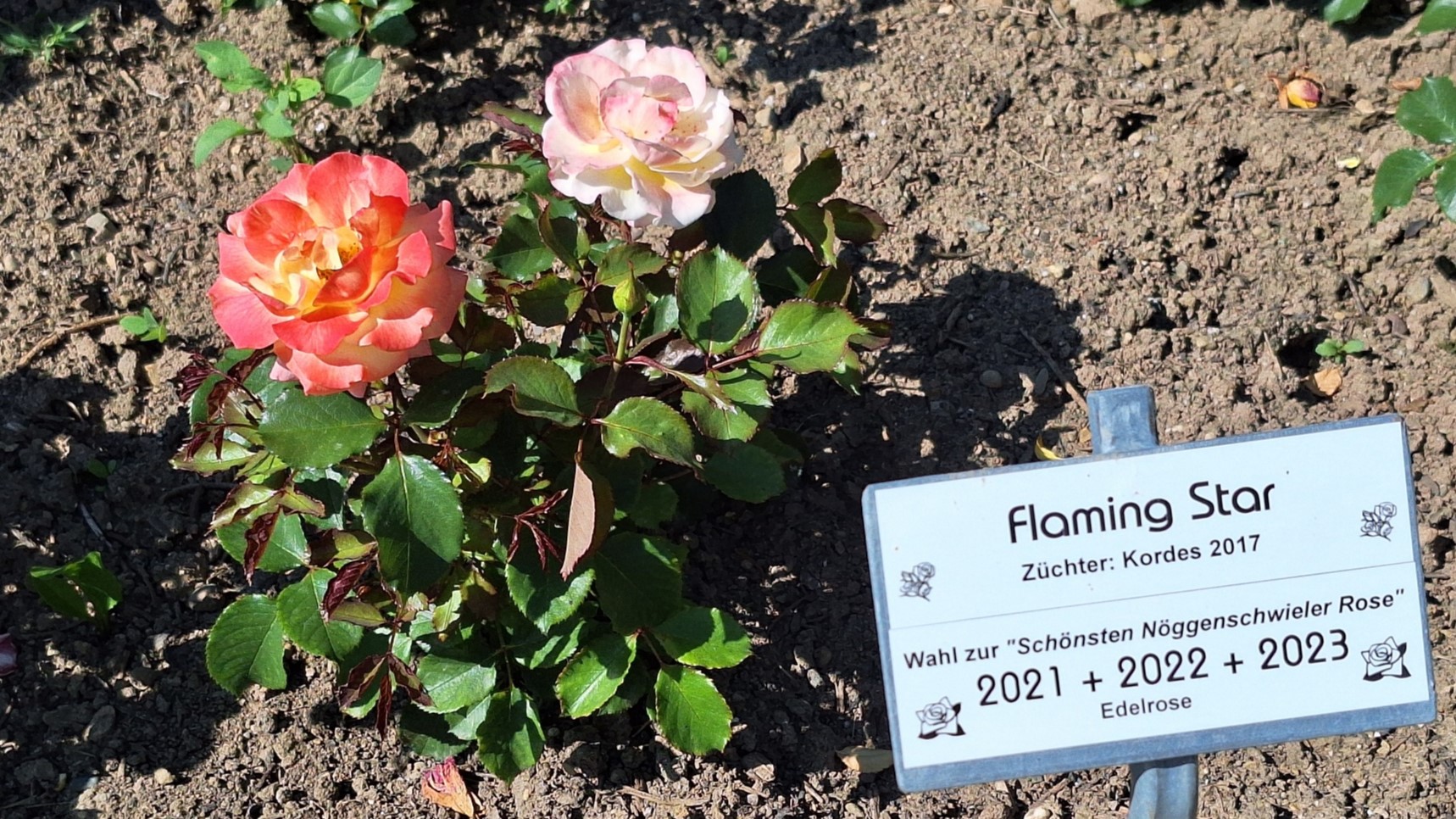 20250618 163245 resized 1