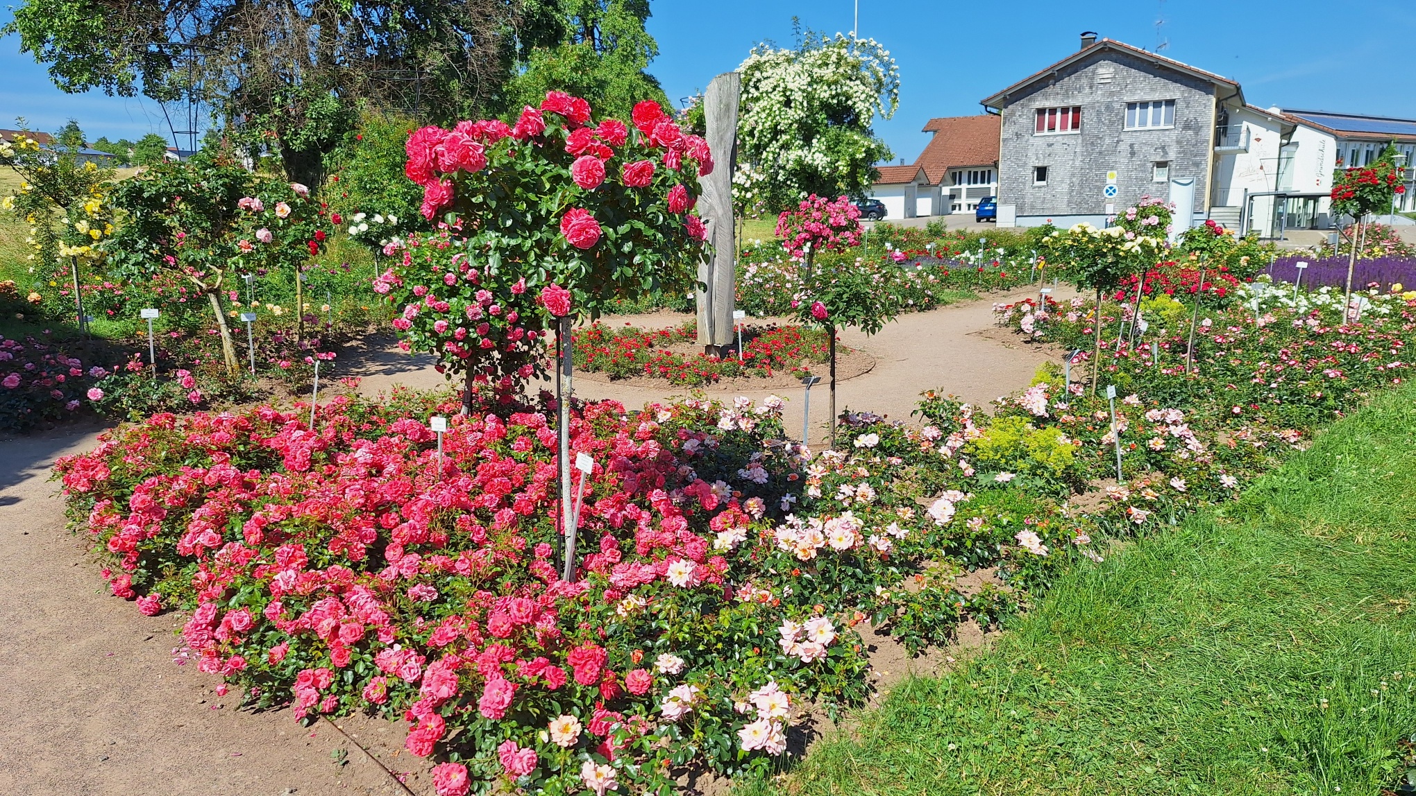 20250618 163539 resized 1