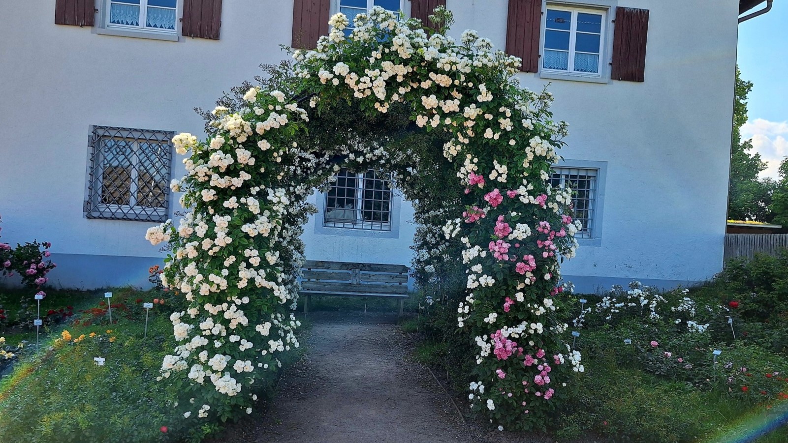 20250618 163555 resized 2