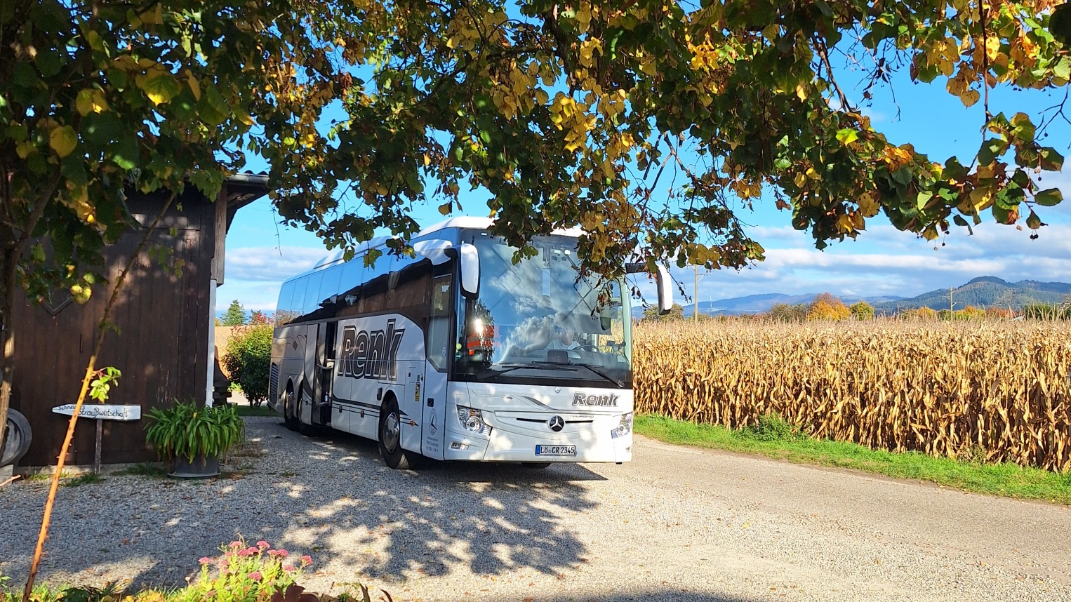 20251015 163046 resized