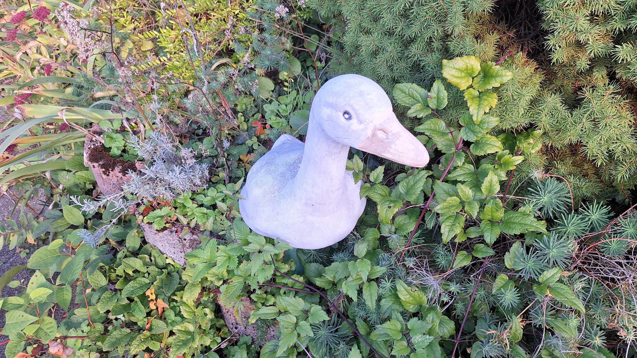 20251015 165213 resized