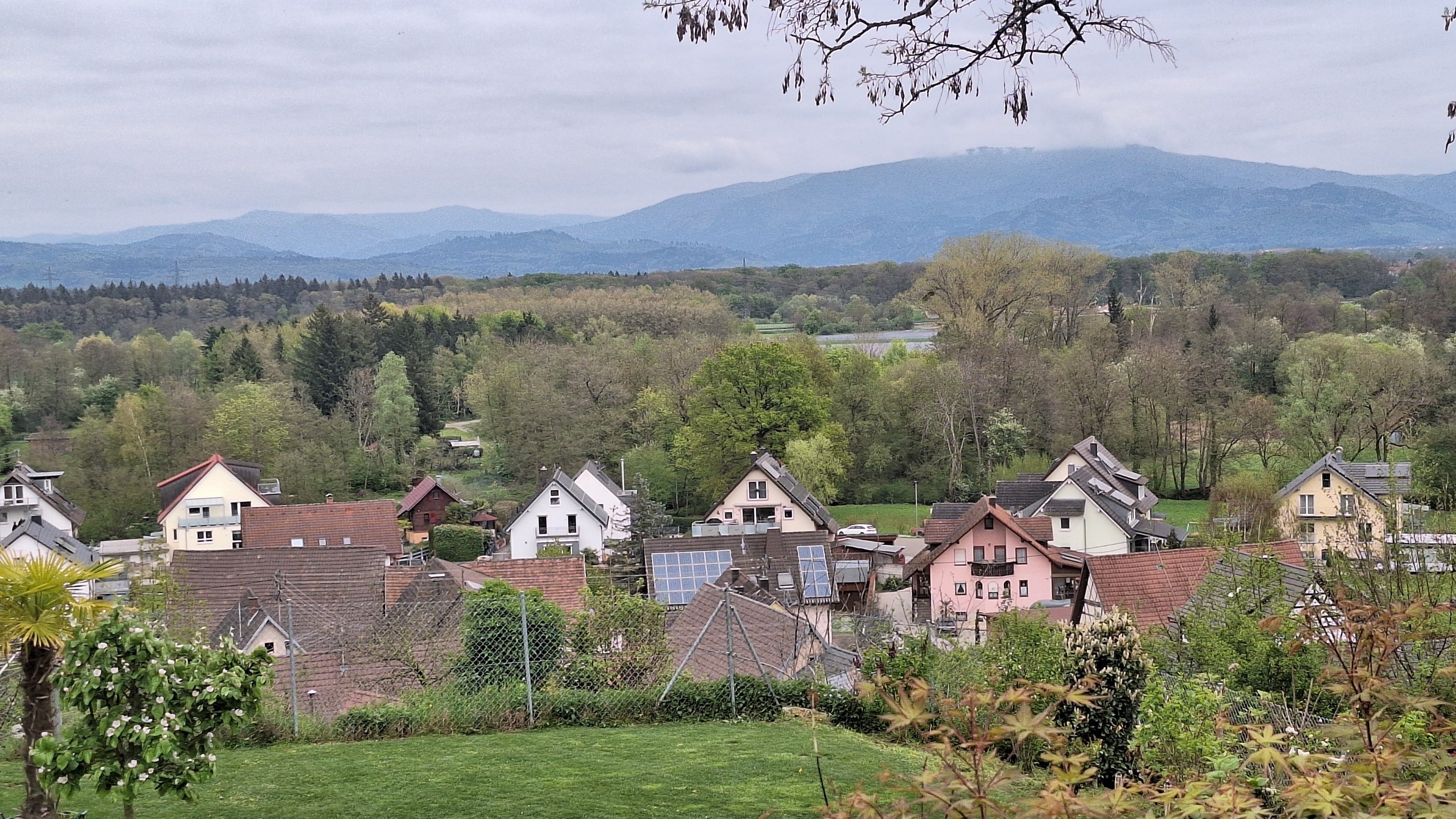 20260415 171844 resized1